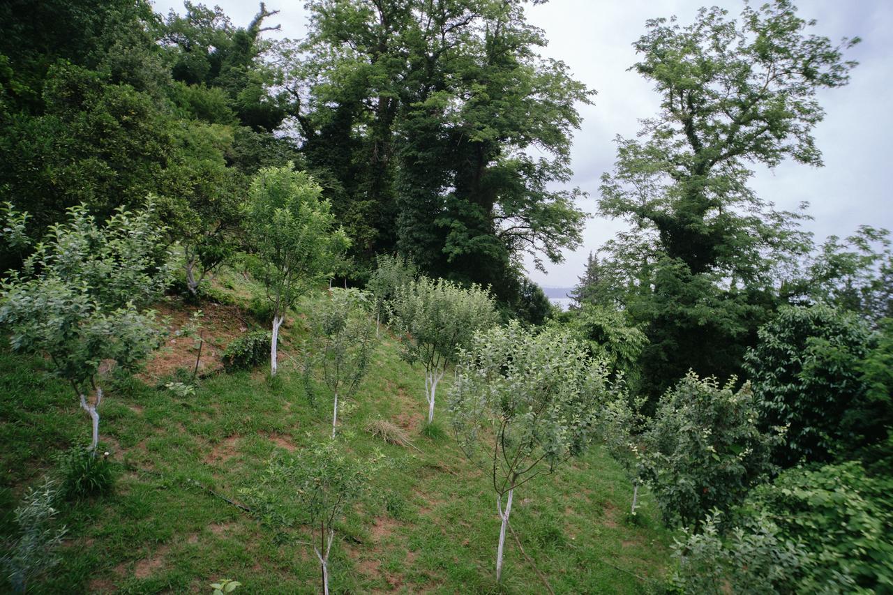 Guest House Bagrat New Athos Dış mekan fotoğraf